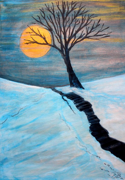 Winter Sun by Paul J Best