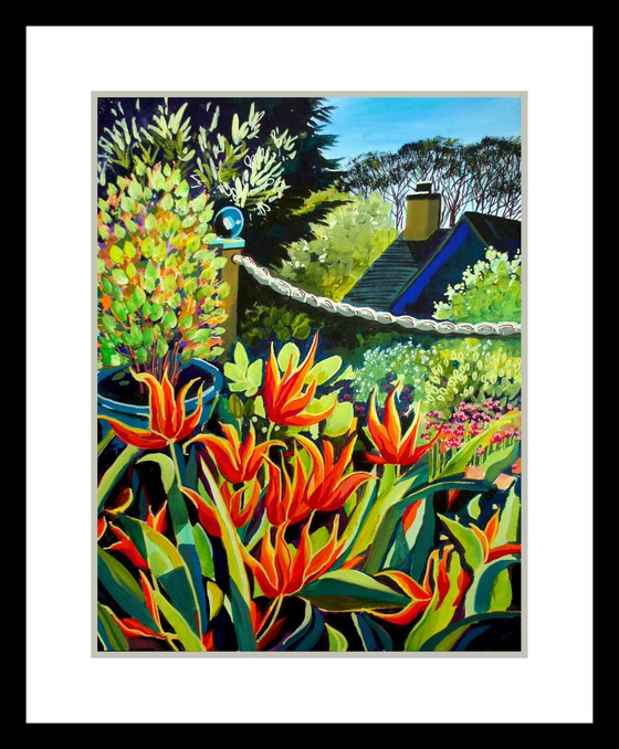 Ballerina Tulips on the patio