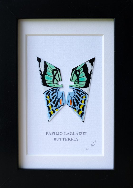 Papilio Laglaizei butterfly