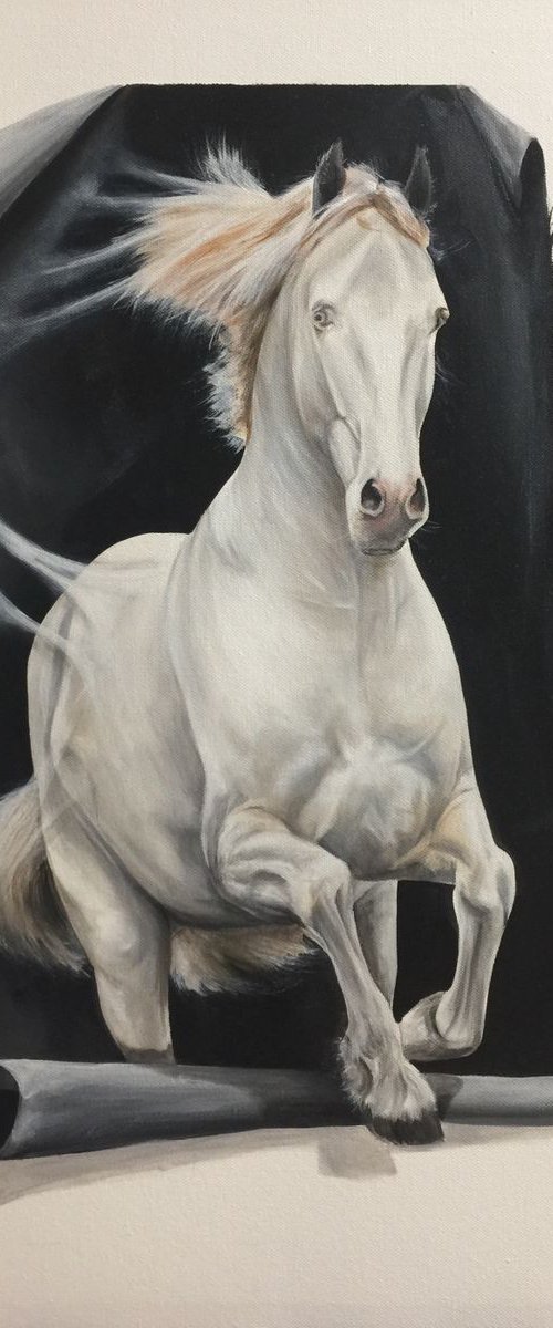 Horse Eka Peradze Art by Eka Peradze
