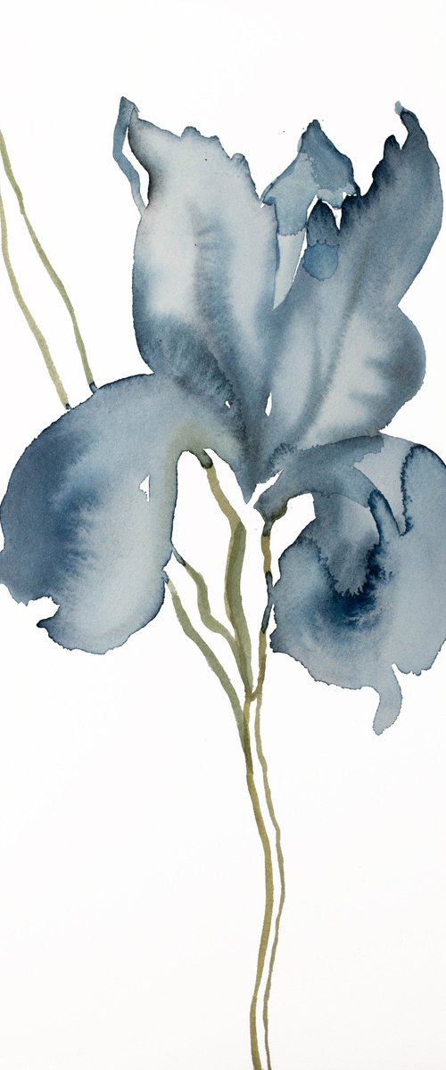 Iris No. 144 by Elizabeth Becker