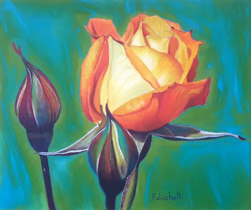 Rosebuds by Francesca Licchelli