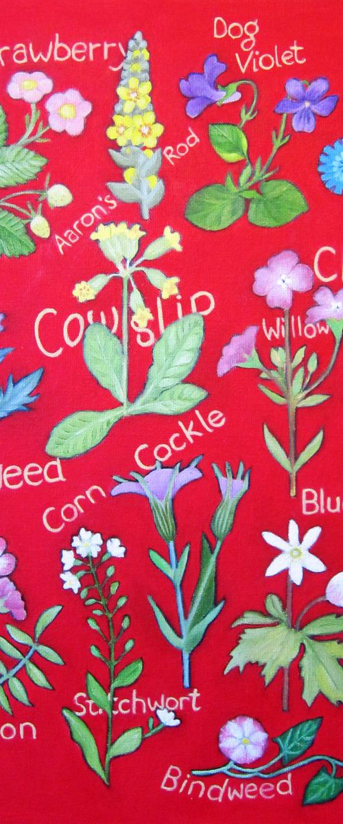 Tapestry of Wild Flowers by Sophie Colmer-Stocker