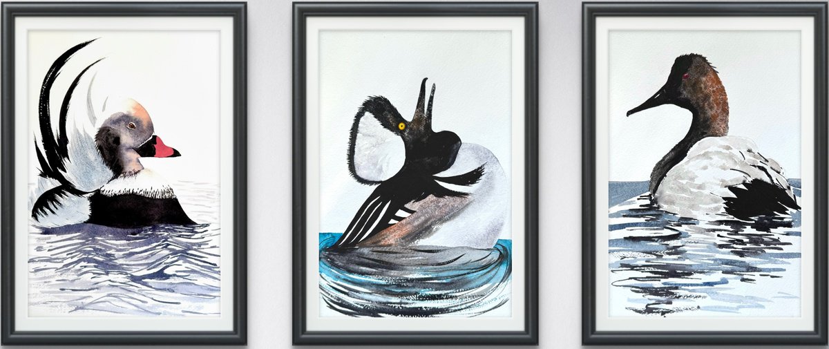 Expressive Animal Watercolour By Yuliia Sharapova, 30 X 14", 3 Wild Drakes Mallard Duck, Original Artwork