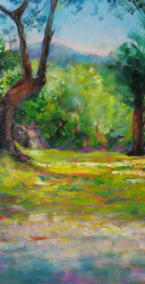 Corsica by Maureen Greenwood