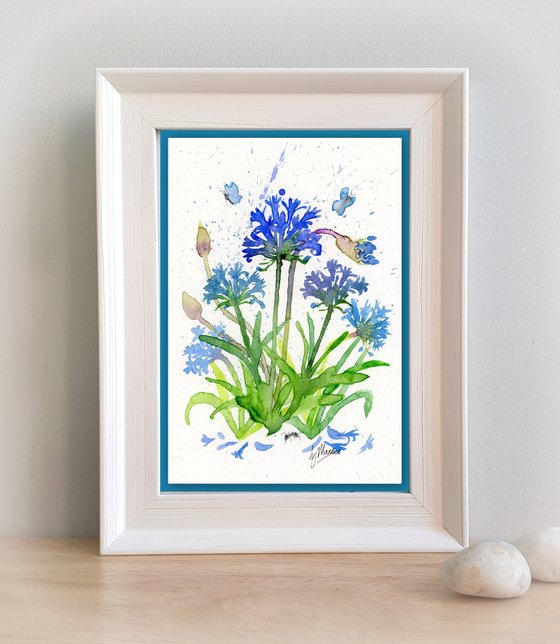 Agapanthus and Ant