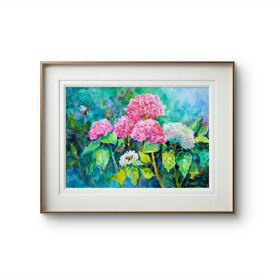 Hydrangeas flowers