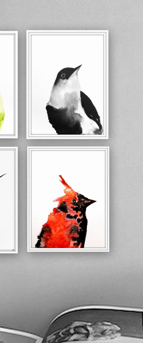 Set of 4 Bird paintings. by Nadia Moniatis