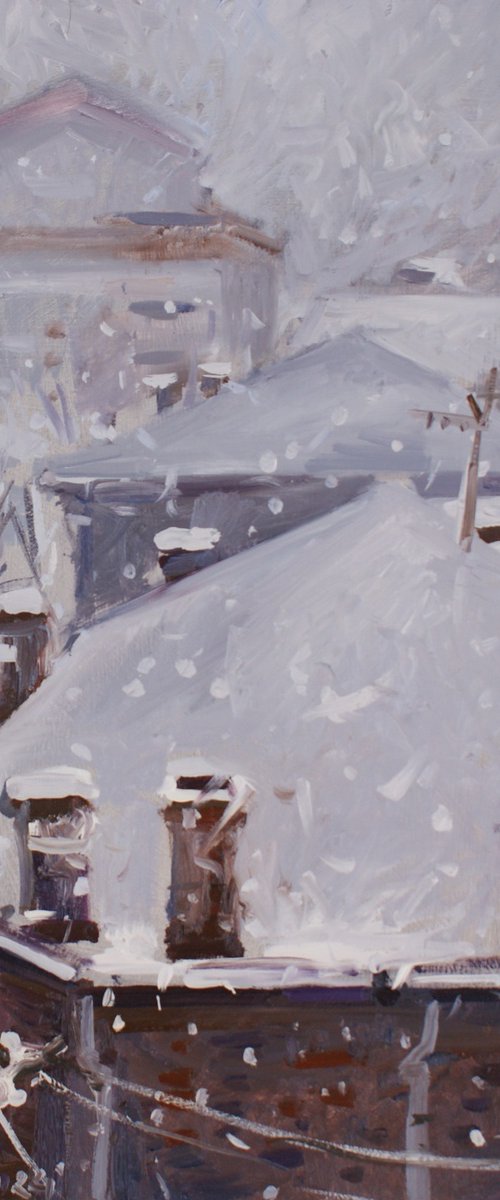 Winter beyond my window by Joan Mato