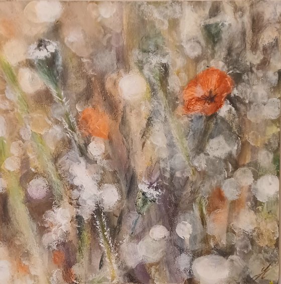 Soft Petals and Dust Motes