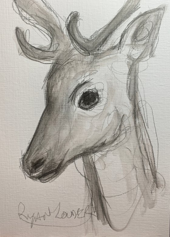 The Deer - Wildlife Drawing