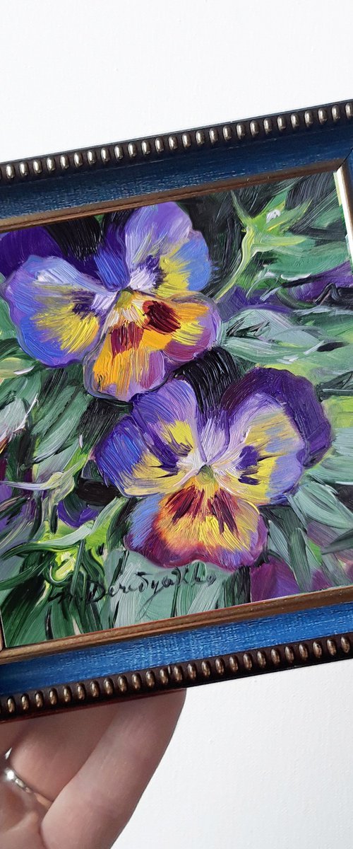 Pansy flowers by Nataly Derevyanko