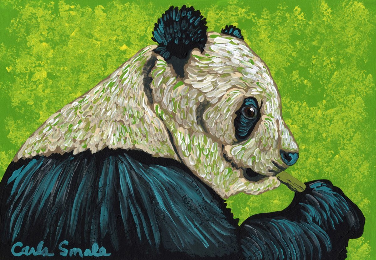 Panda Bear by Carla Smale