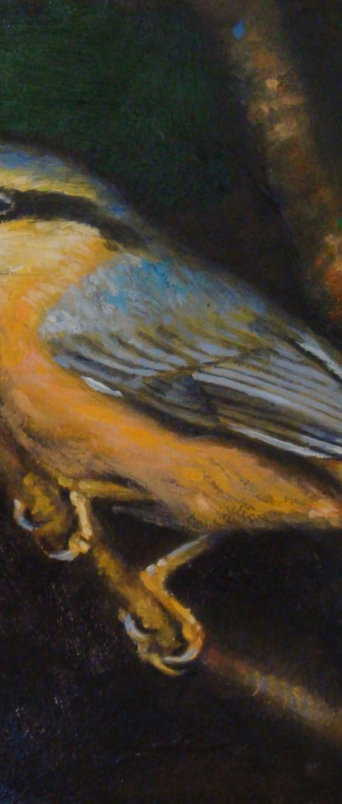 Nuthatch by Michael Mullen