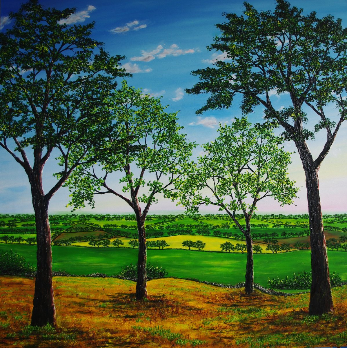 Cheshire Plains in Summer by Hazel Thomson