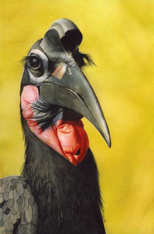 Bird CCXXXIV - Portrait by REME Jr.
