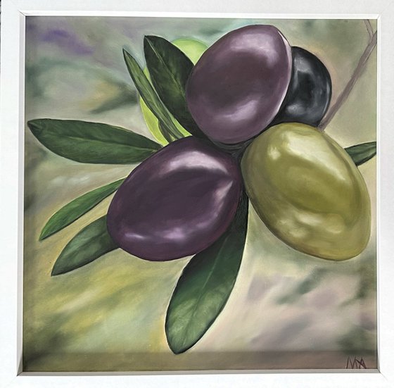 Olive Branch