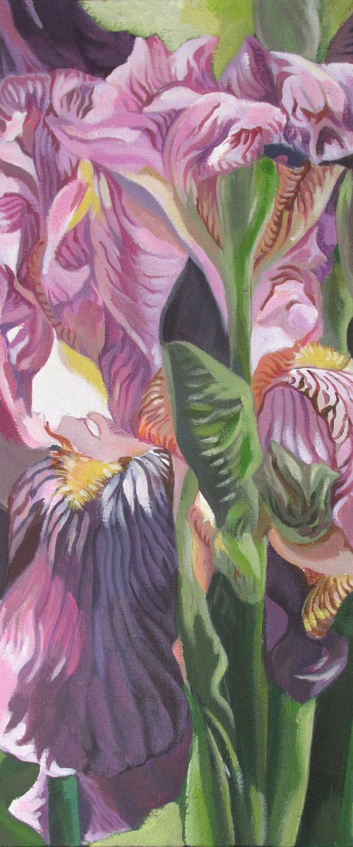 pink iris acrylic floral by Alfred  Ng