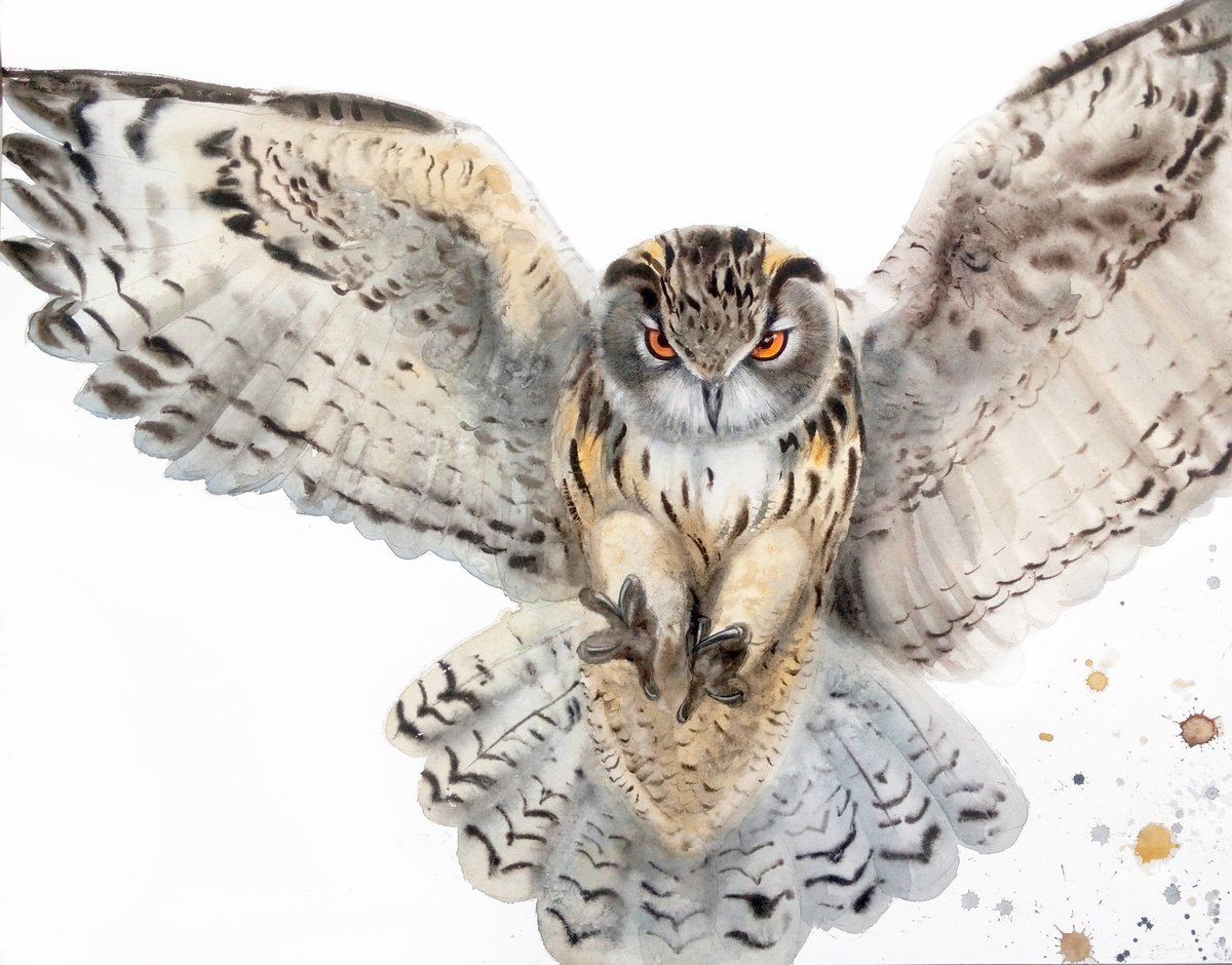 Flying Owl - Original Watercolor - Wildlife Art - Owl Painting by Olga Beliaeva Watercolour