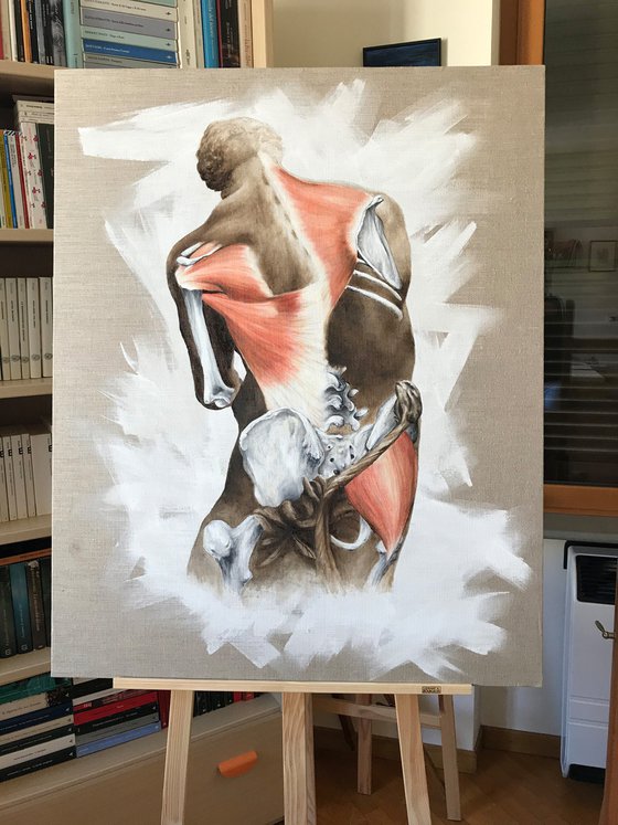 Anatomical study of Hercules and the Nemean Lion