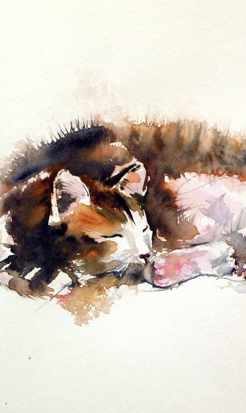 Sleeping cat by Kovács Anna Brigitta