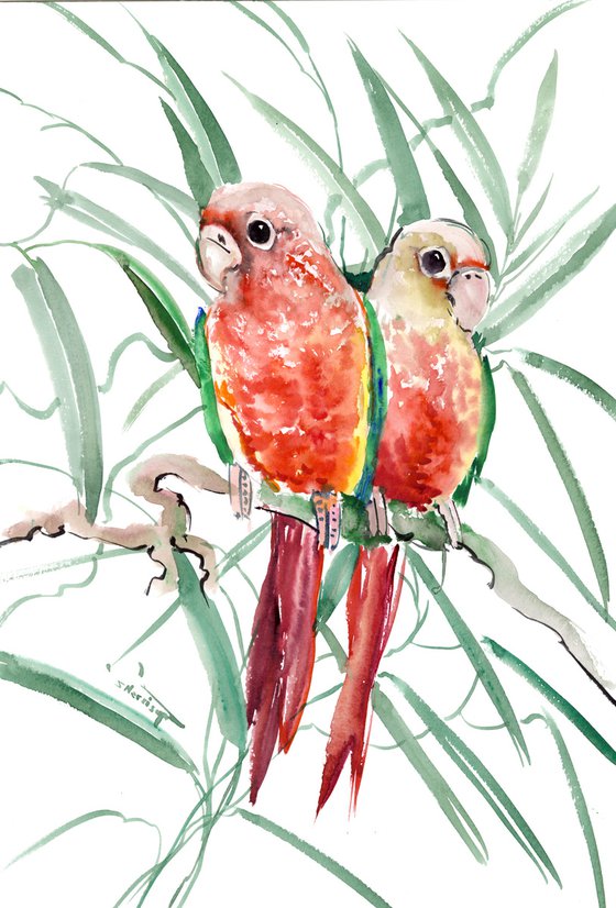 Pineapple Conure Parakeet, Parrot painting