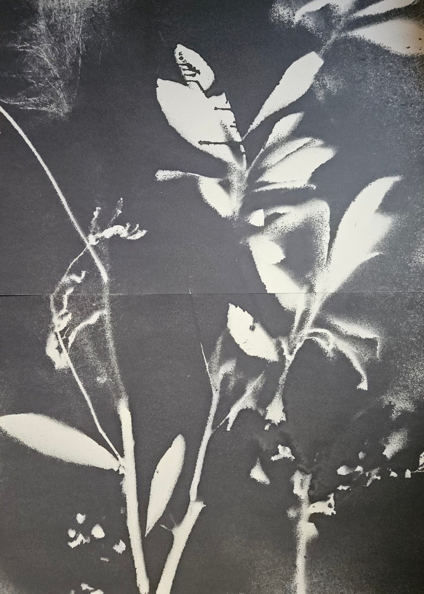 Surrealistic Botanical Acrylic Painting By Stefano Mazzolini, 41 X 57", Rf2930, Original Artwork