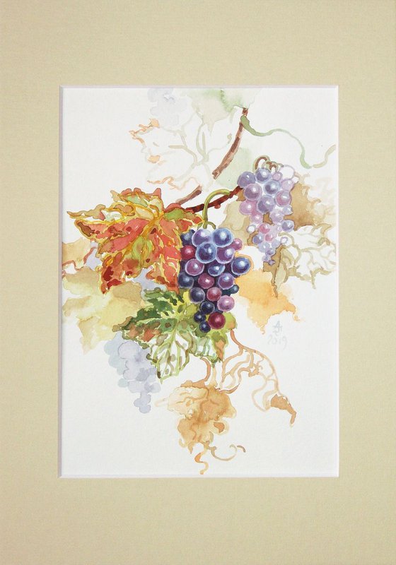 Richness of summer - vine * free shipping *