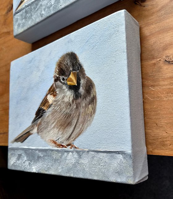 Little Sparrow