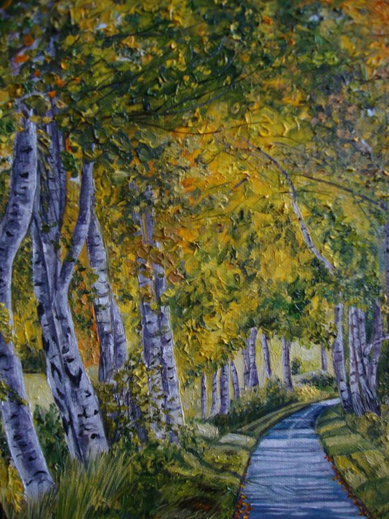 Magic of the birches
