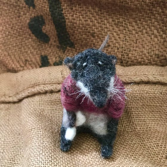 Felted wool Architect shrew