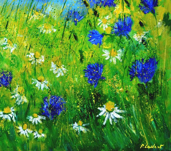 Cornflowers and daisies