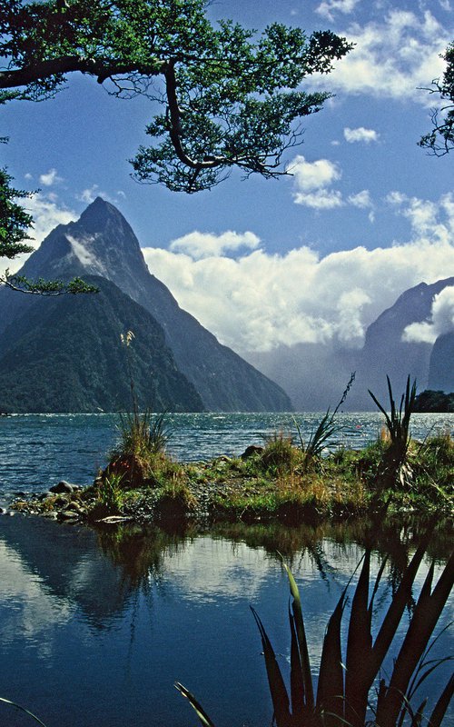 Fiordland by Alex Cassels