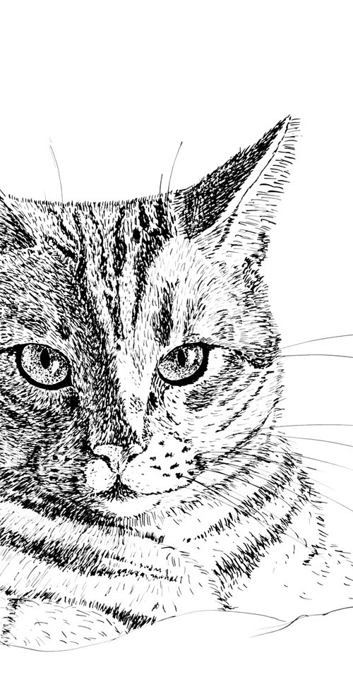 A cat with intelligent eyes - Gift for animal lovers. by Liubov Samoilova