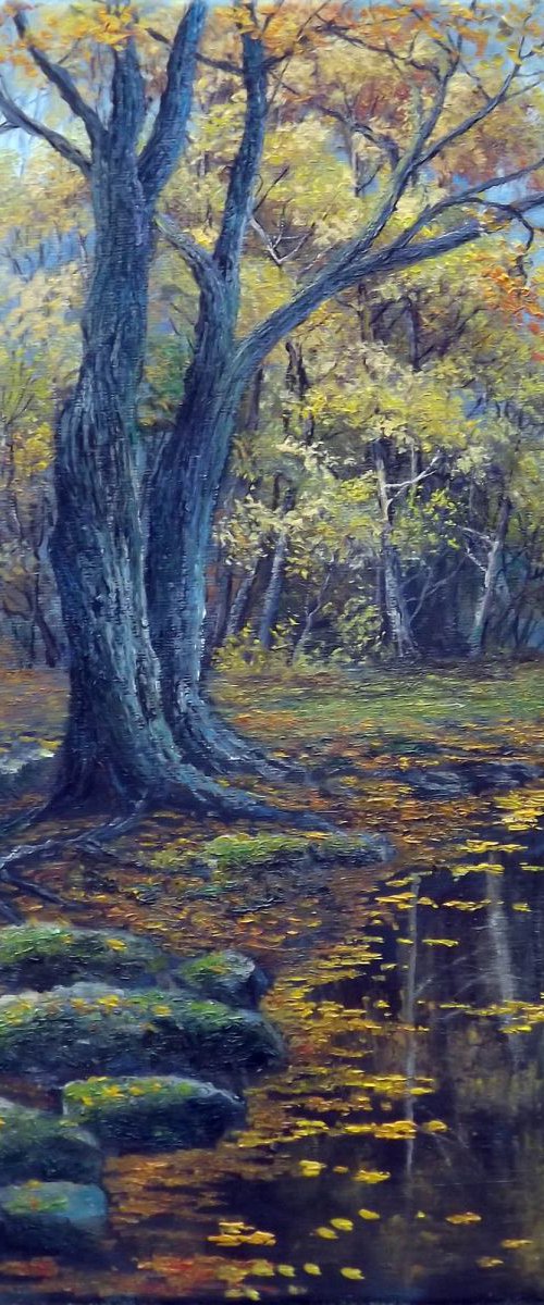 Autumn Morning by Oleg Riabchuk