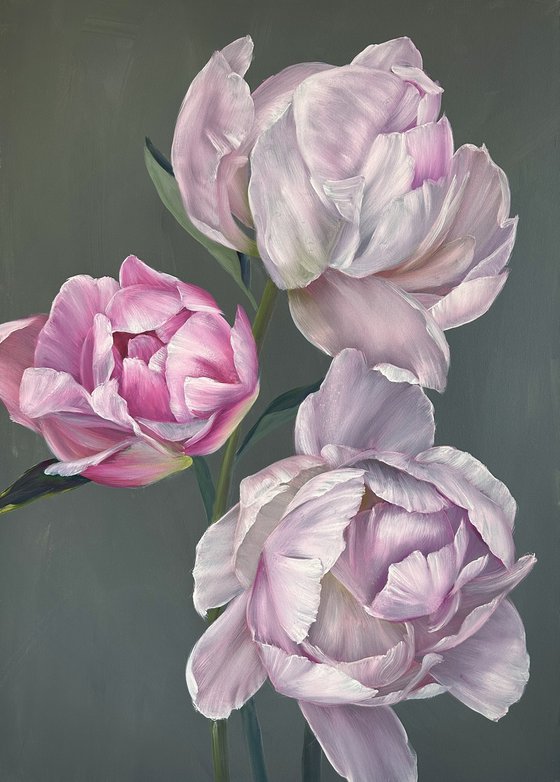 The tenderness of peonies