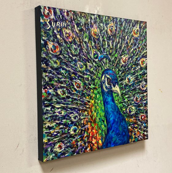 Peacock Magnificent, Peacock painting