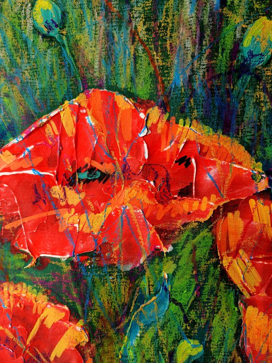 Poppies 4