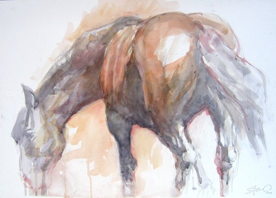 The horse backside (70x50)