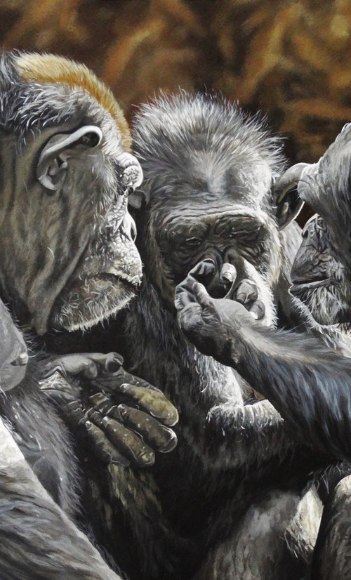 Chimpanzee Altruism by Julian Wheat
