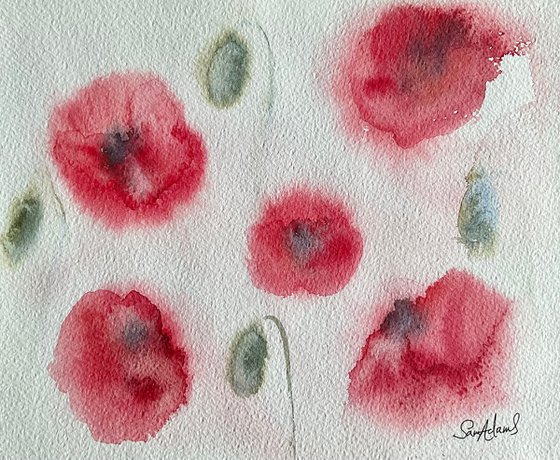 Poppy flowers and poppy seed heads