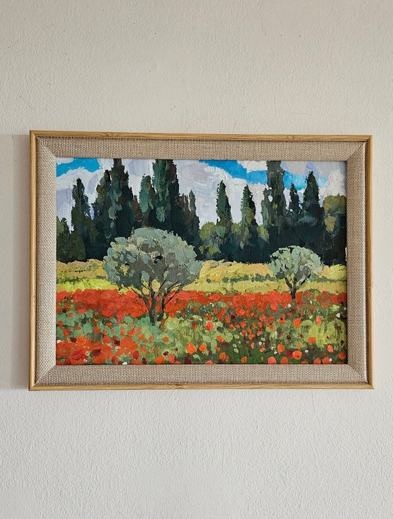 Olive Trees and Poppy Bloom. Landscape