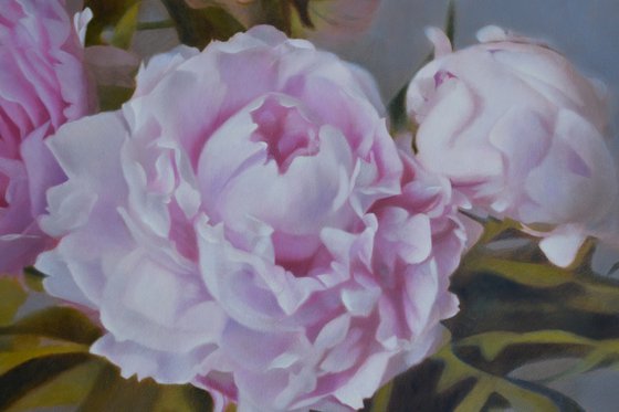 Peonies in Bloom.