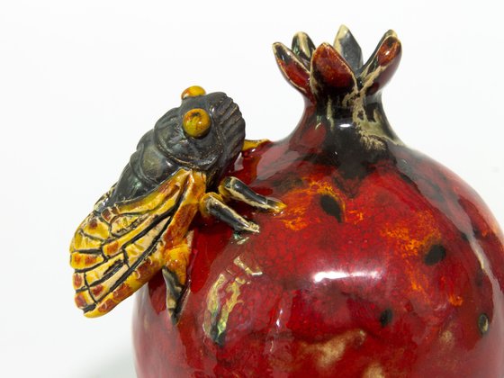 Cicada and pomegranate