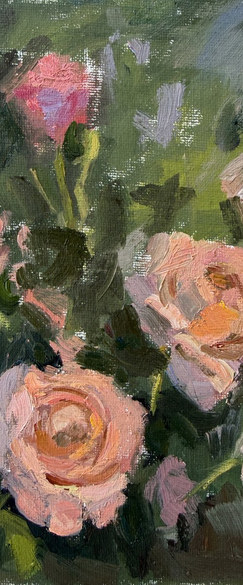 Garden roses by Kate Sosonna