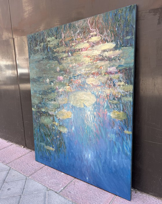 Water Lilies and Reflections