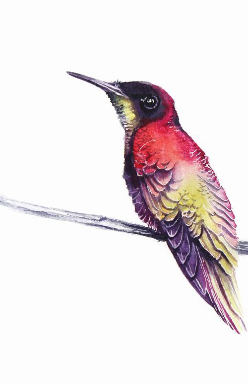 Hummingbird, 20x30cm, birds, wildlife and animals watercolours by Karolina Kijak