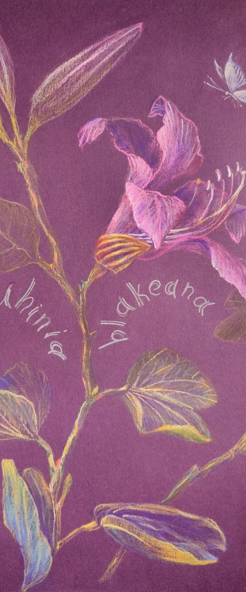 Winter Flowers of the Mediterranean I by Anastasiia Aguf