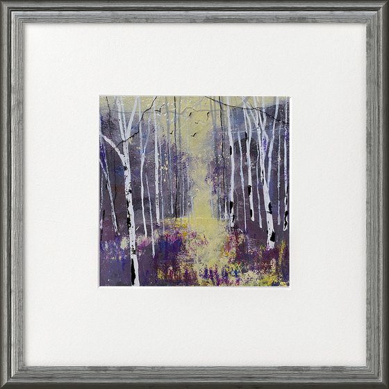 Seasons - Violet Autumn, Silver Birches