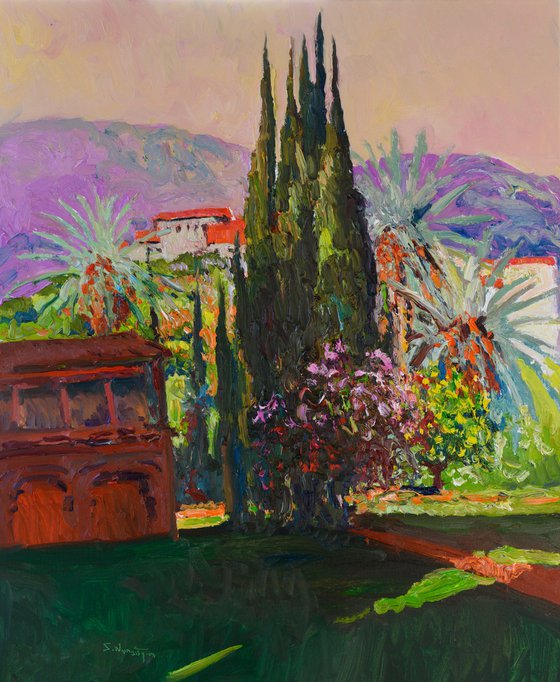 Morning and Cypresses, California